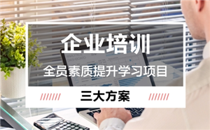 采用企業線上培訓平臺實施全員素質提升學習項目的三大方案