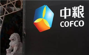 經典干貨：中糧如何用行動學習推動轉型？