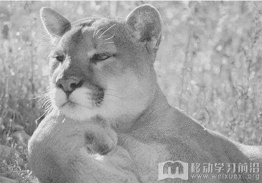 QQ截圖20170220135810.png