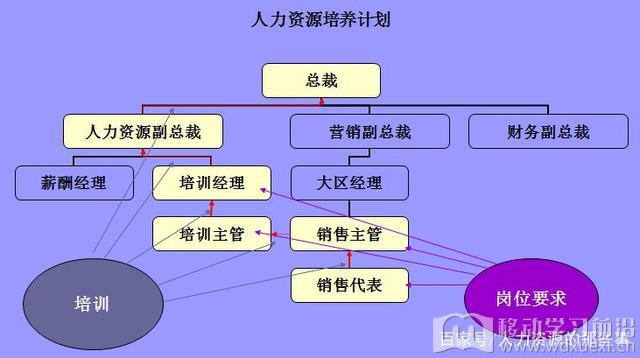 人力資源發展與職業生涯規劃體系